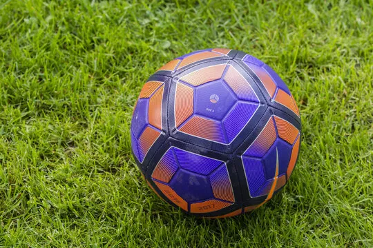 kaiyun体育 App 赛事资讯